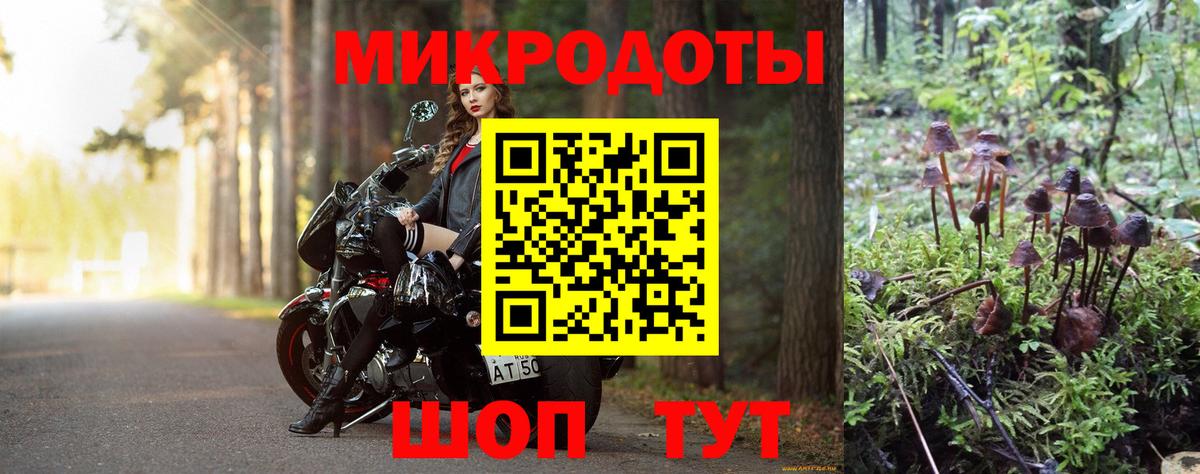 Дубна  Псилоцибиновые грибы прущие грибы  Вход с VPN 